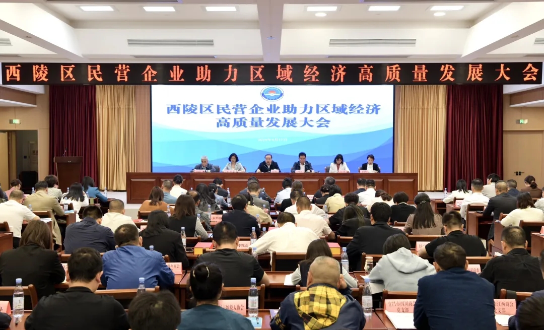 会议现场.jpg